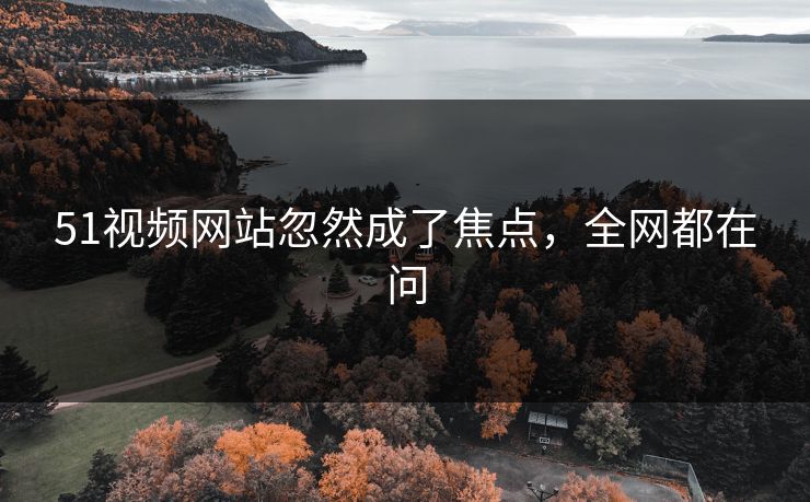 51视频网站忽然成了焦点，全网都在问