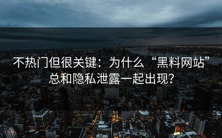 不热门但很关键：为什么“黑料网站”总和隐私泄露一起出现？